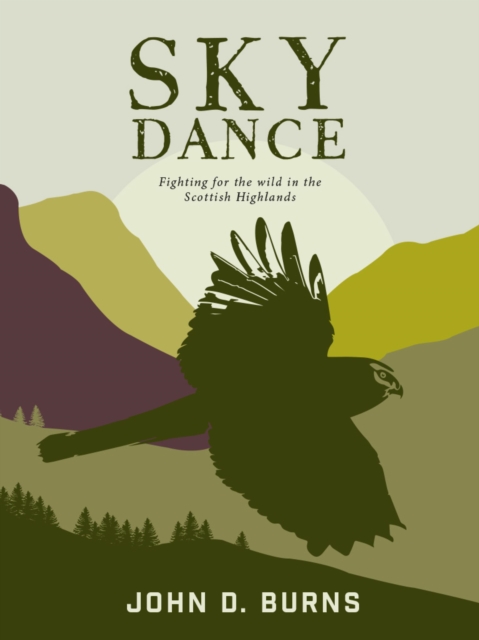 Book Cover for Sky Dance by John D. Burns
