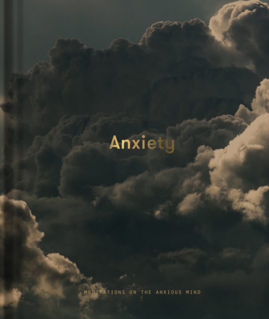 Book Cover for Anxiety by Alain de Botton