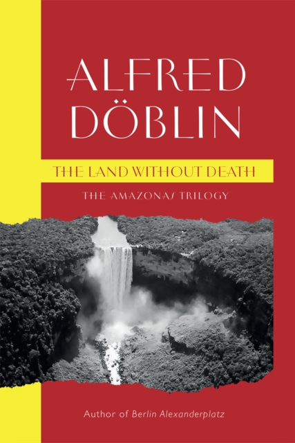 Book Cover for Land Without Death by Alfred Doblin