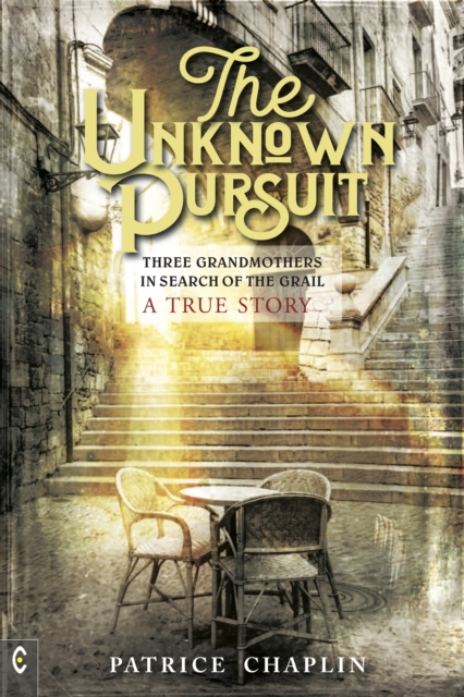 Book Cover for Unknown Pursuit by Patrice Chaplin