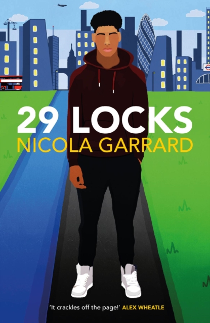 Book Cover for 29 LOCKS by Nicola Garrard