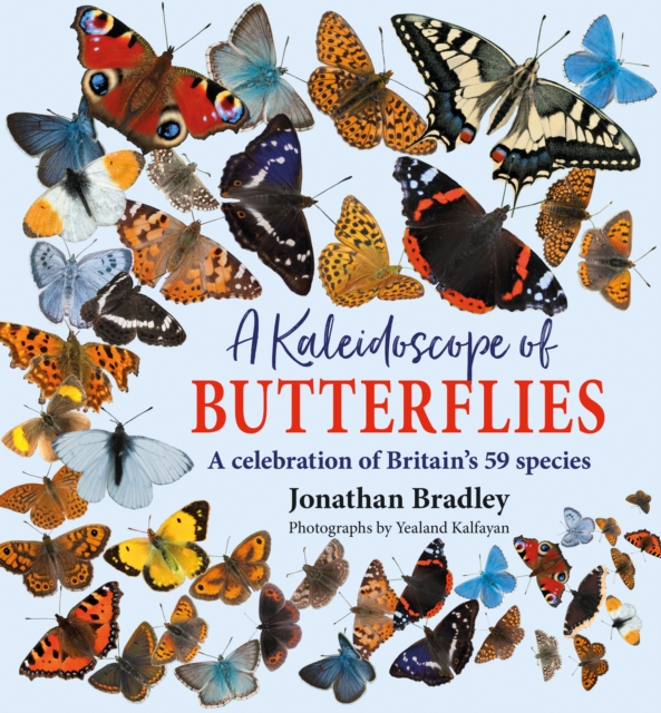 Book Cover for Kaleidoscope of Butterflies by Jonathan Bradley