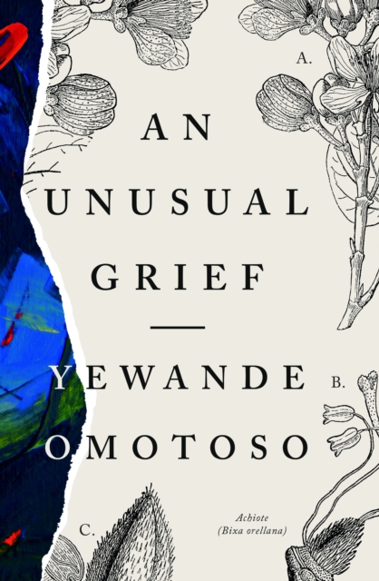 Book Cover for Unusual Grief by Yewande Omotoso