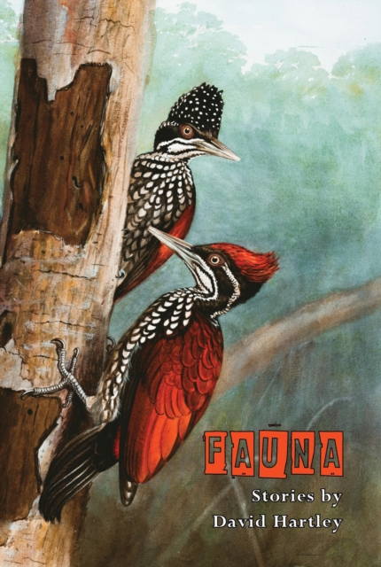 Book Cover for Fauna by David Hartley