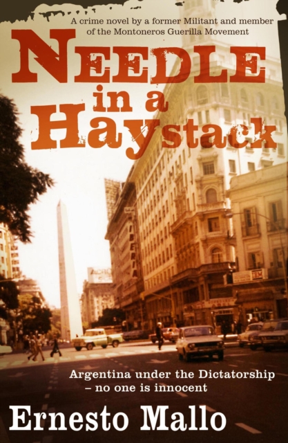 Book Cover for Needle in a Haystack by Mallo, Ernesto