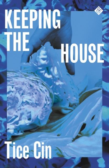Book Cover for Keeping the House by Tice Cin