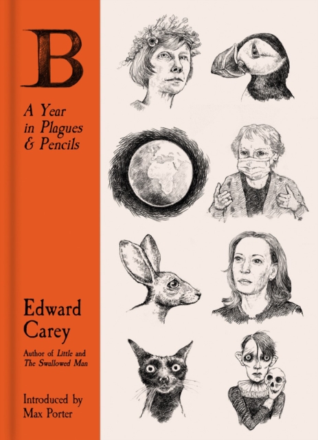 Book Cover for B: A Year in Plagues and Pencils by Edward Carey