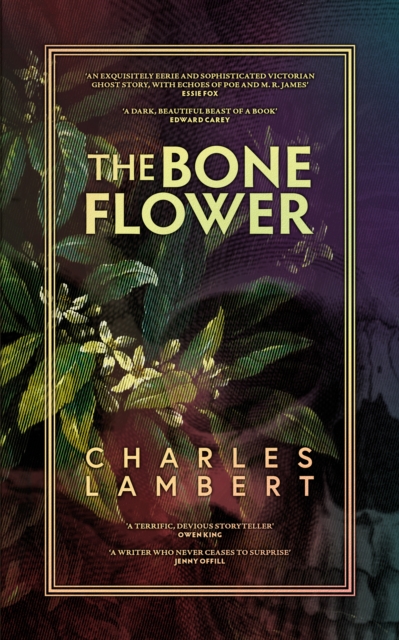 Book Cover for Bone Flower by Charles Lambert