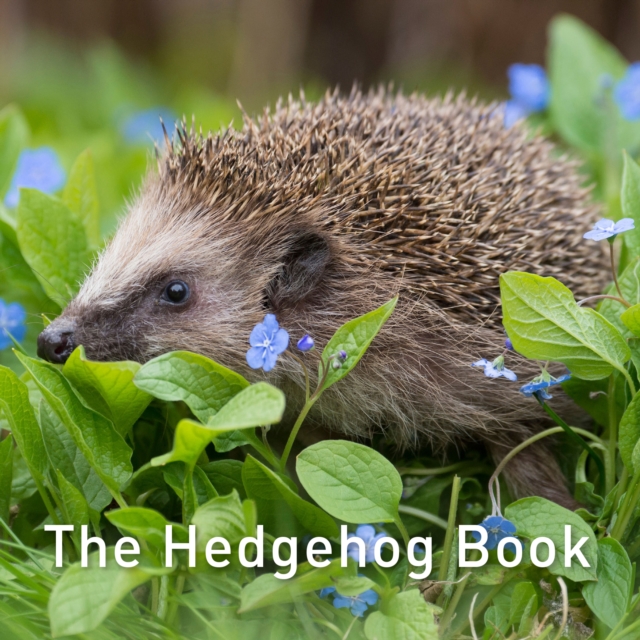 Book Cover for Hedgehog Book by Hugh Warwick