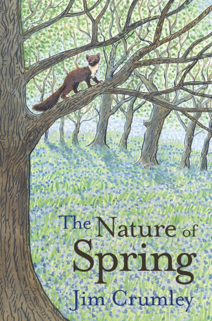 Book Cover for Nature of Spring by Crumley, Jim