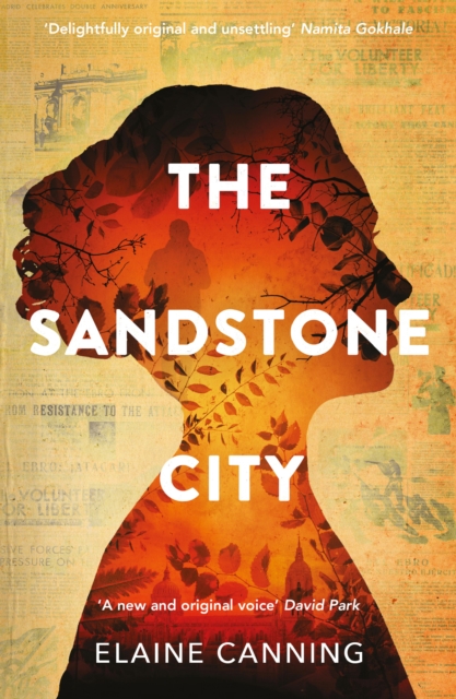 Book Cover for Sandstone City by Canning, Elaine