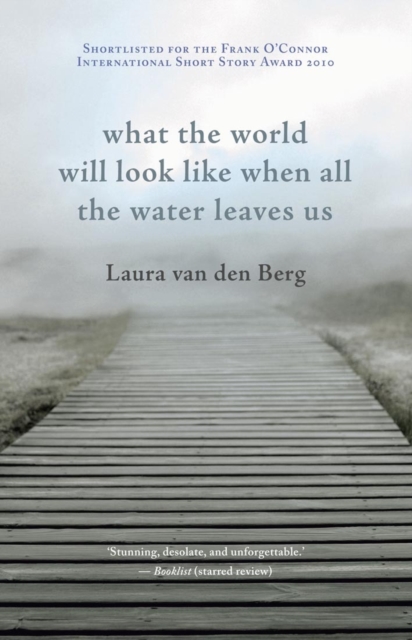 Book Cover for What the World Will Look Like When All the Water Leaves Us by Laura van den Berg