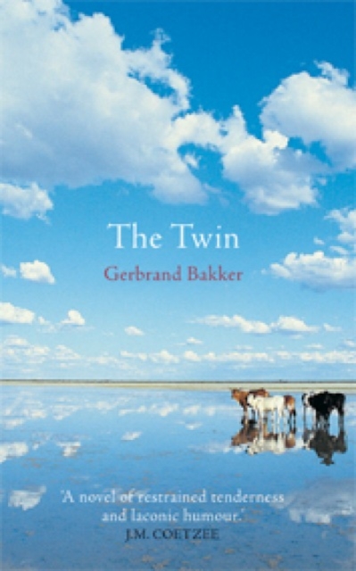 Book Cover for Twin by Gerbrand Bakker
