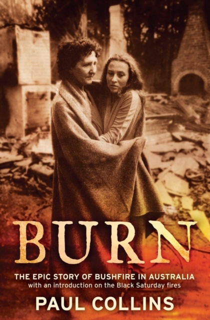 Book Cover for Burn by Collins, Paul