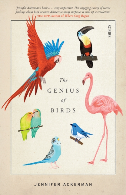 Book Cover for Genius of Birds by Jennifer Ackerman