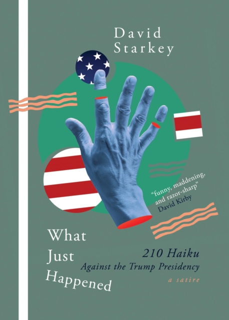 Book Cover for What Just Happened by David Starkey