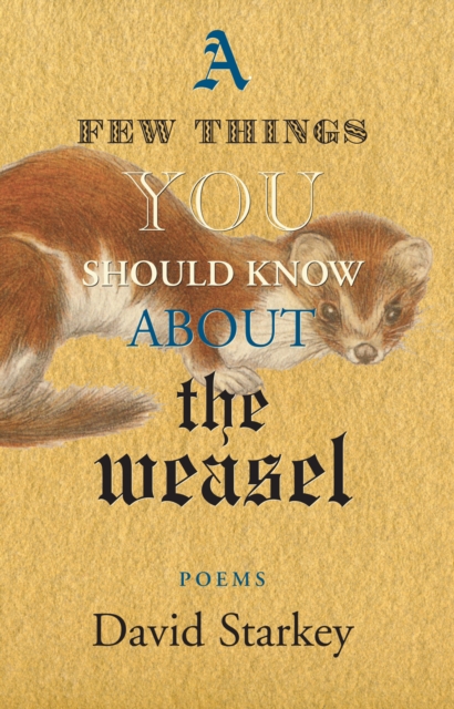 Book Cover for Few Things You Should Know About the Weasel by David Starkey