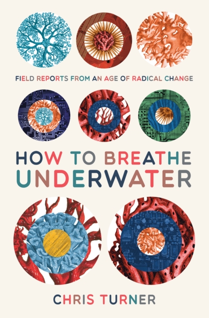 Book Cover for How to Breathe Underwater by Chris Turner