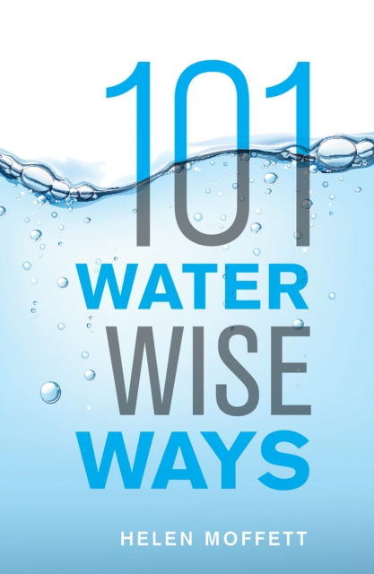 Book Cover for 101 Water Wise Ways by Helen Moffett