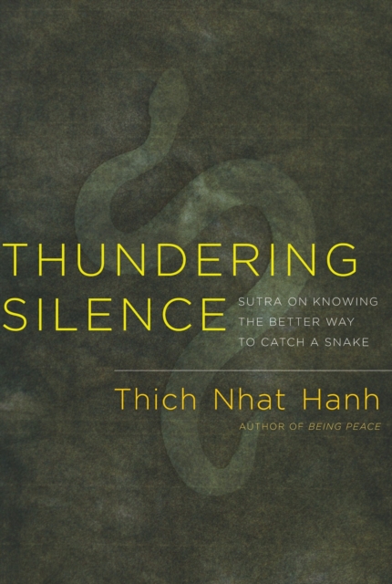 Book Cover for Thundering Silence by Thich Nhat Hanh