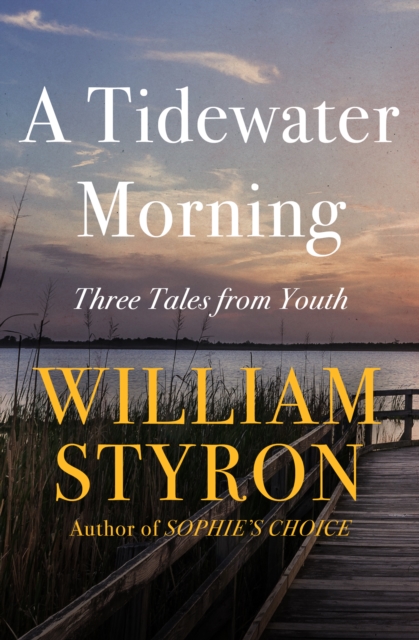 Book Cover for Tidewater Morning by William Styron