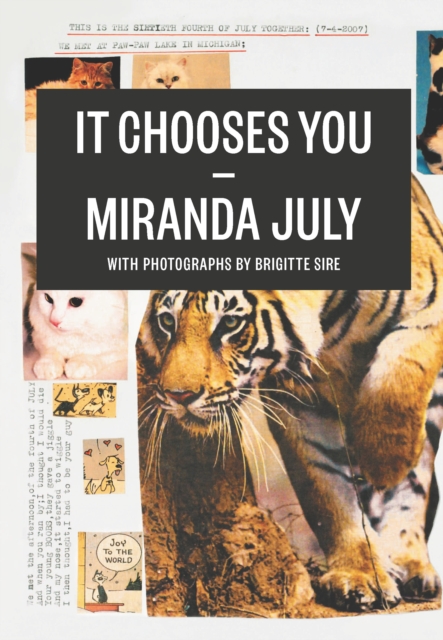 Book Cover for It Chooses You by Miranda July