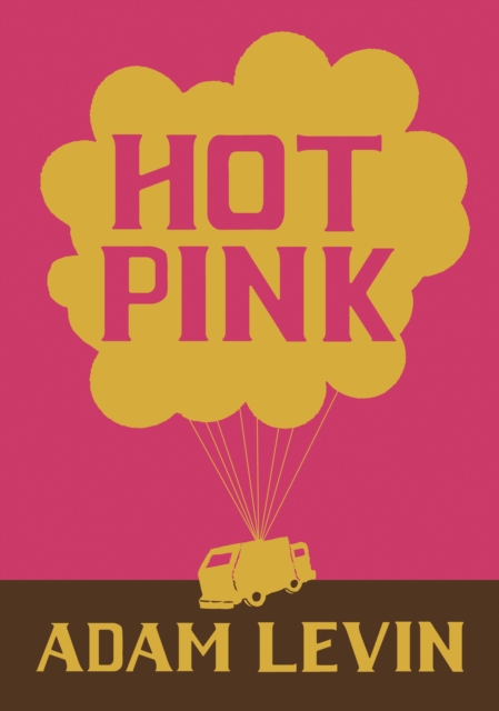 Book Cover for Hot Pink by Adam Levin