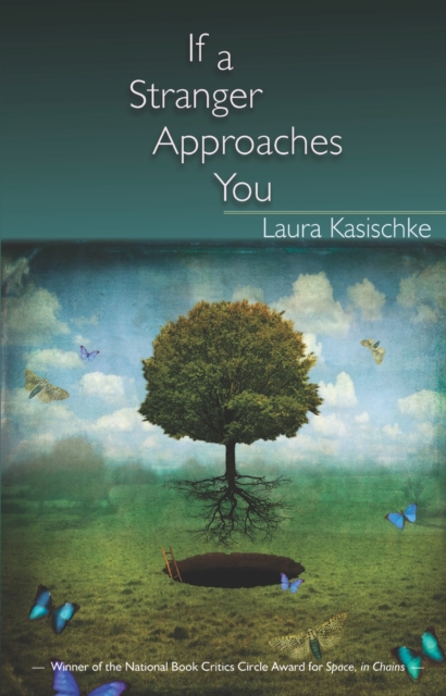 Book Cover for If a Stranger Approaches You by Laura Kasischke