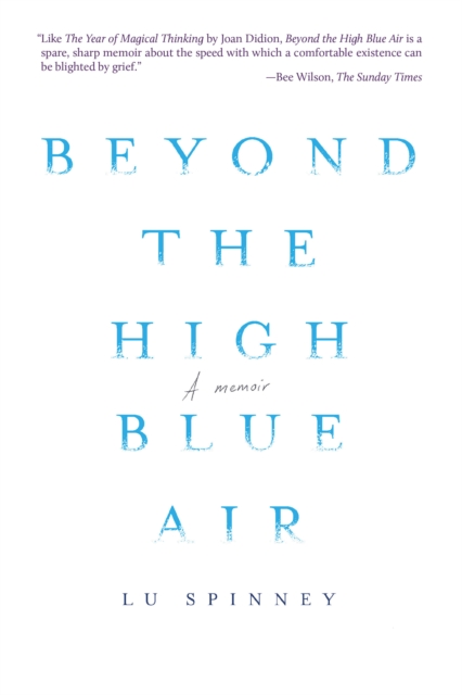 Book Cover for Beyond the High Blue Air by Lu Spinney