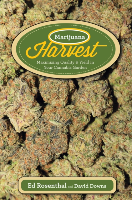 Book Cover for Marijuana Harvest by Ed Rosenthal