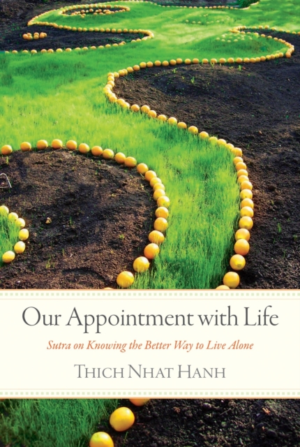 Book Cover for Our Appointment with Life by Thich Nhat Hanh