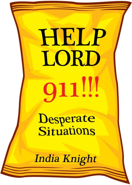 Book Cover for Help Lord 911!!! by India Knight