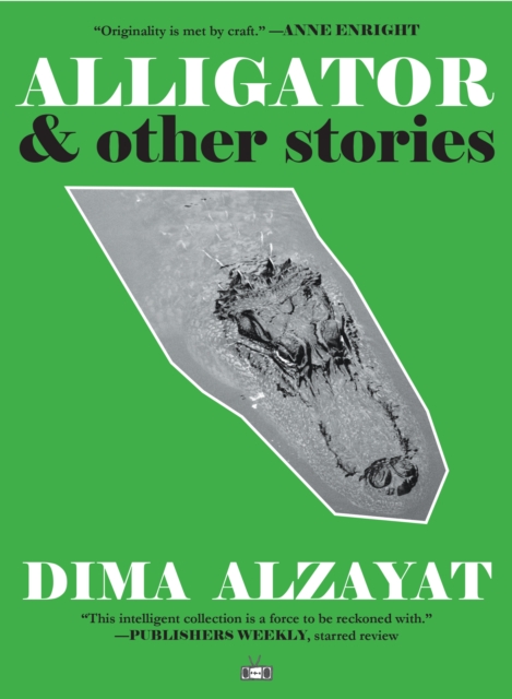 Book Cover for Alligator by Dima Alzayat