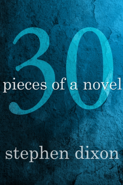 Book Cover for 30 Pieces of a Novel by Stephen Dixon