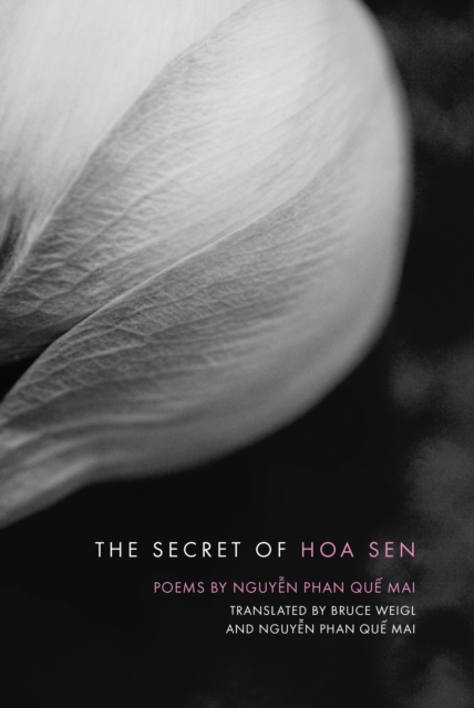 Book Cover for Secret of Hoa Sen by Mai, Nguyen Phan  Que