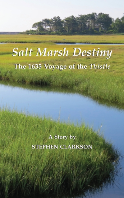 Book Cover for Salt Marsh Destiny by Stephen Clarkson