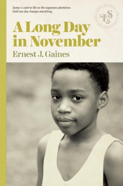 Book Cover for Long Day in November by Ernest J. Gaines