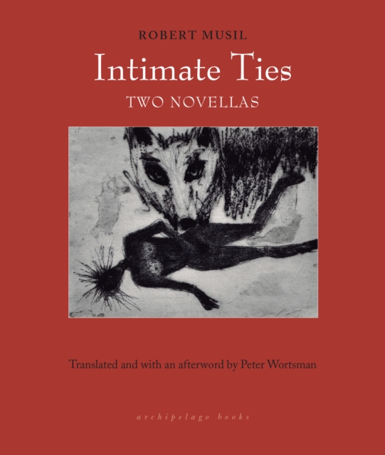 Book Cover for Intimate Ties by Robert Musil