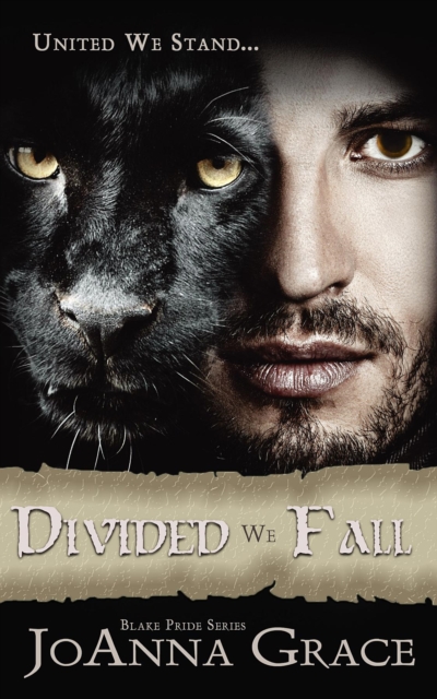 Book Cover for Divided We Fall by JoAnna Grace