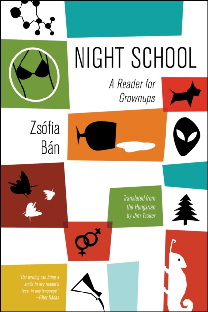 Book Cover for Night School by Zsofia Ban