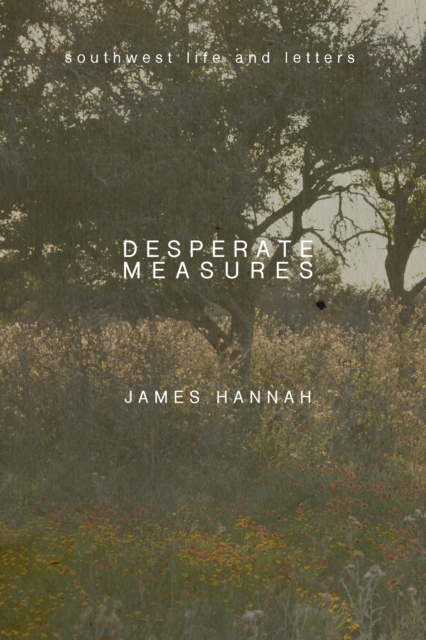 Book Cover for Desperate Measures by Hannah, James