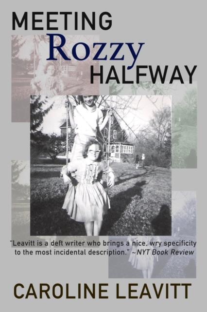 Book Cover for Meeting Rozzy Halfway by Caroline Leavitt