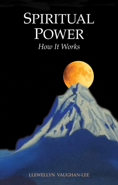 Book Cover for Spiritual Power by Llewellyn Vaughan-Lee