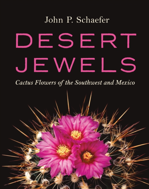 Book Cover for Desert Jewels by Schaefer John P. Schaefer