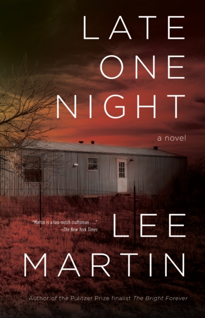 Book Cover for Late One Night by Lee Martin