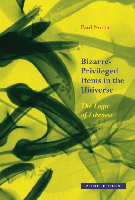 Book Cover for Bizarre-Privileged Items in the Universe by North, Paul