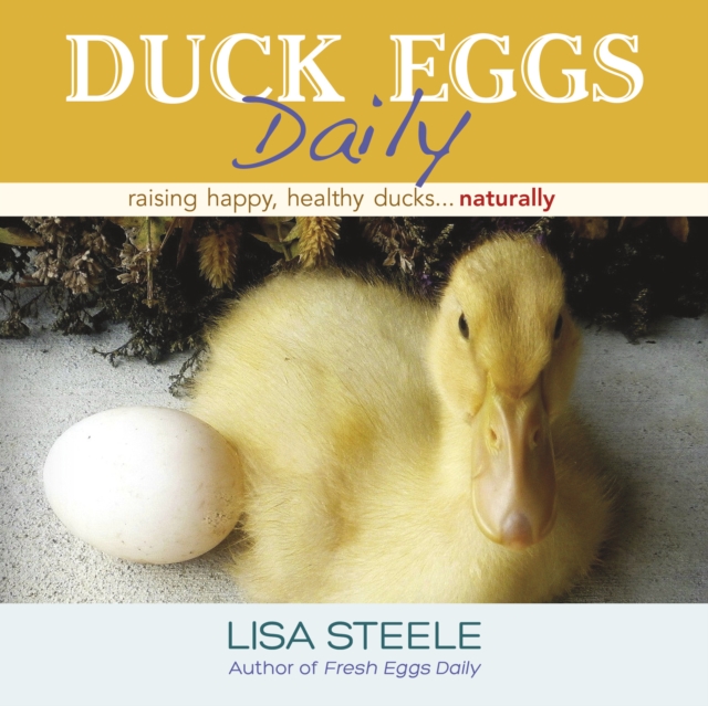 Book Cover for Duck Eggs Daily by Steele, Lisa