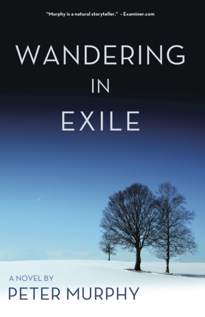Book Cover for Wandering in Exile by Peter Murphy