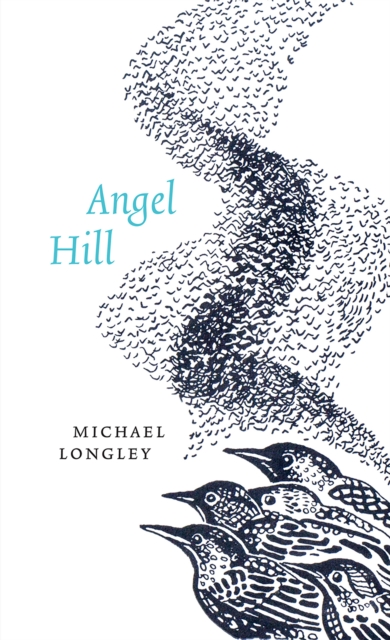 Book Cover for Angel Hill by Michael Longley