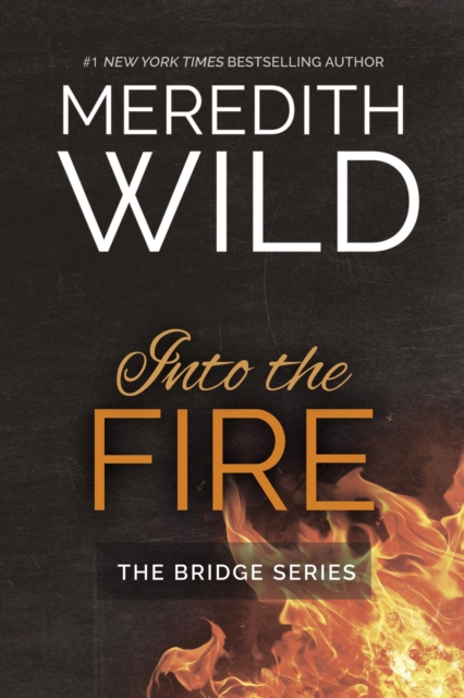 Book Cover for Into the Fire by Meredith Wild